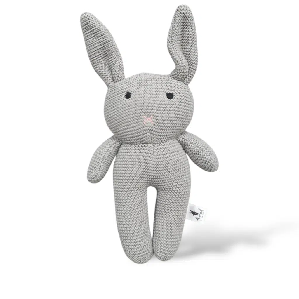 The Grey Bunny
