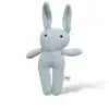 The Blue Bunny