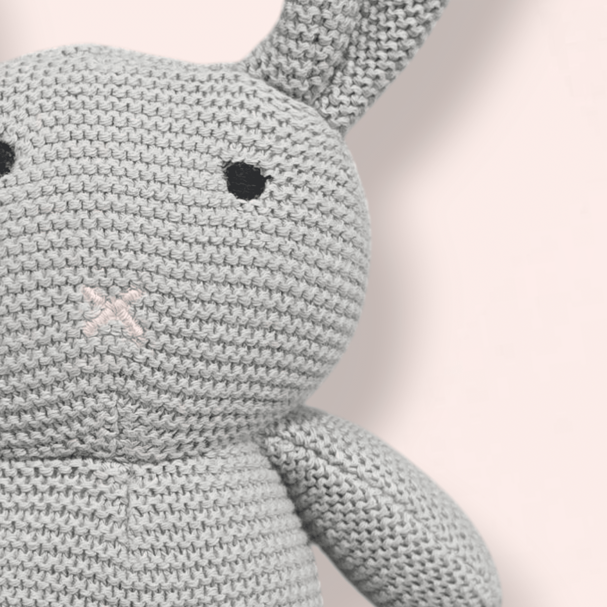 The Grey Bunny