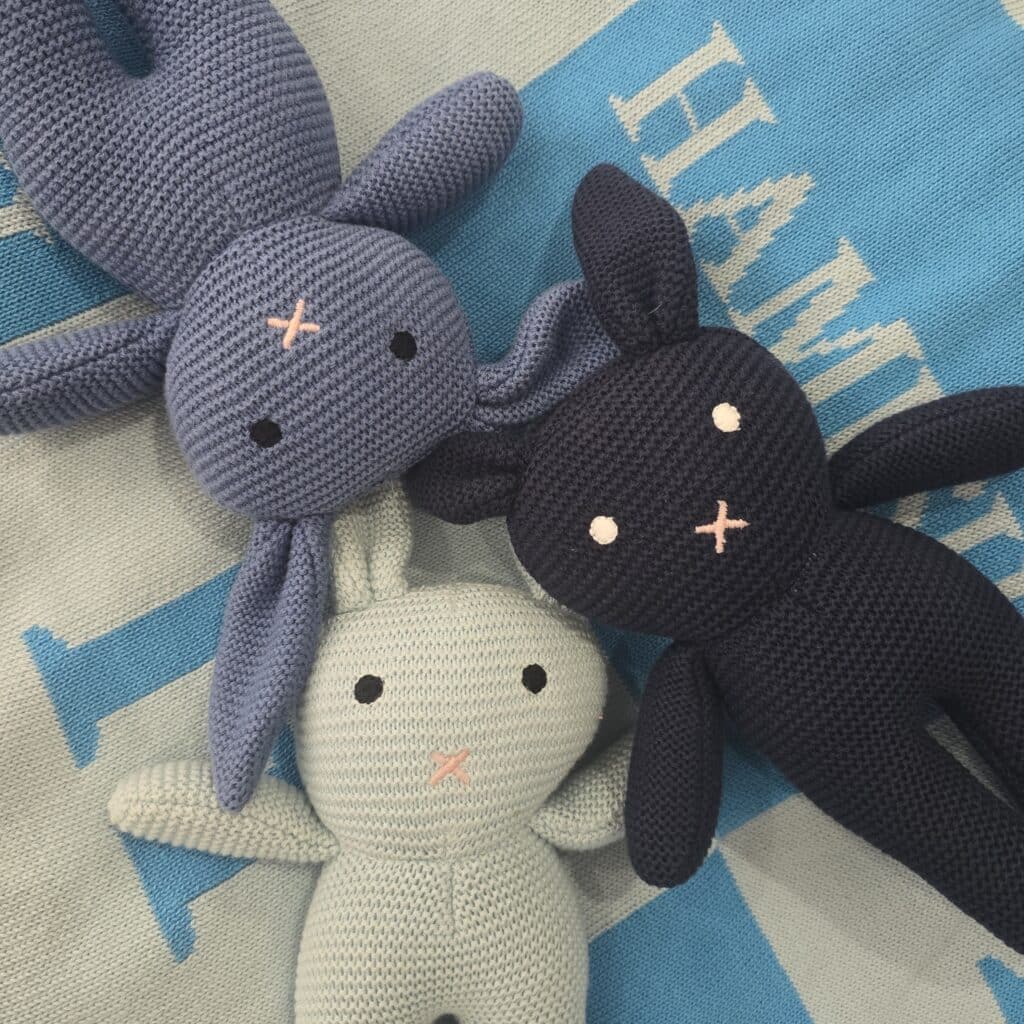 The Blue Bunny