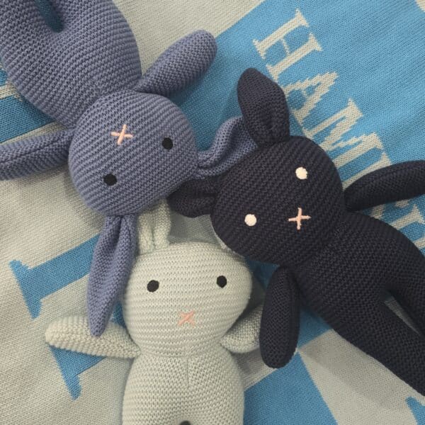 The Blue Bunny