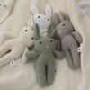 The Sage Bunny
