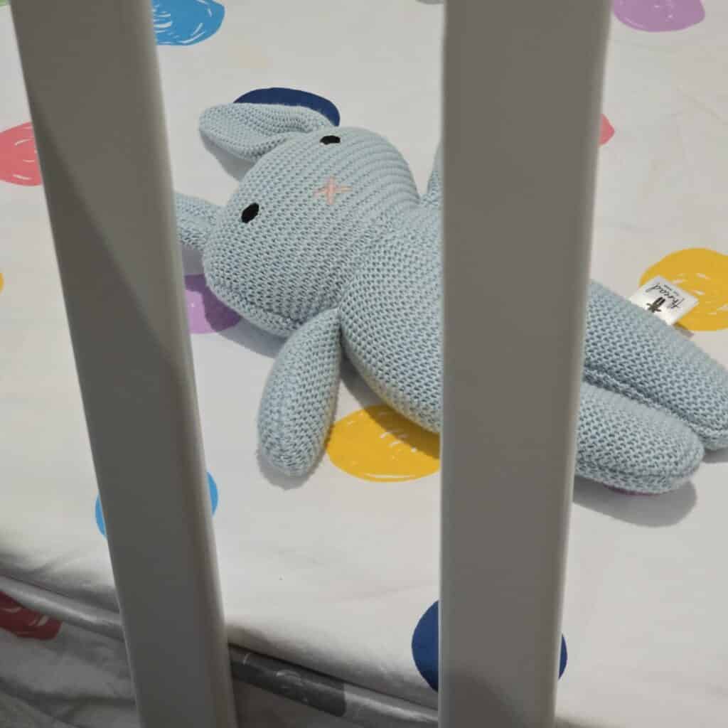 The Blue Bunny
