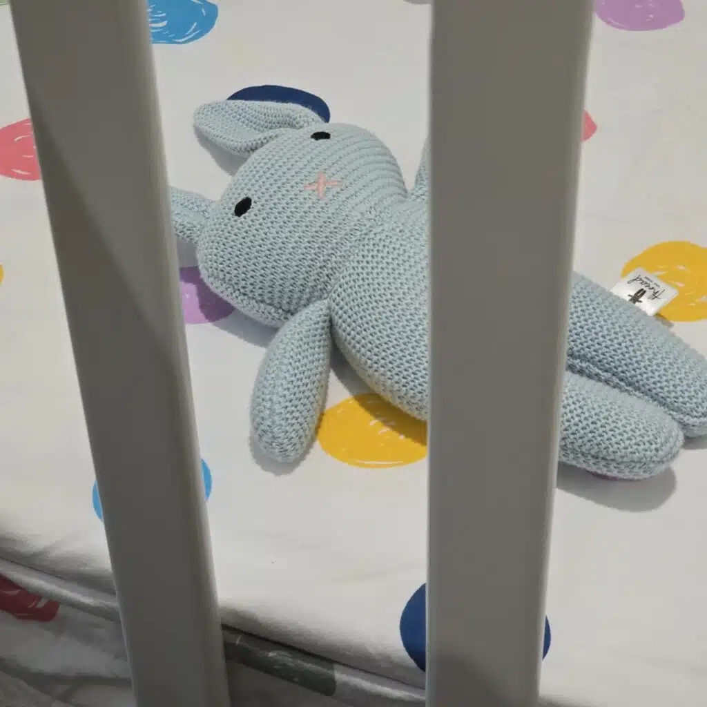 The Blue Bunny