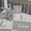 The Grey Bunny