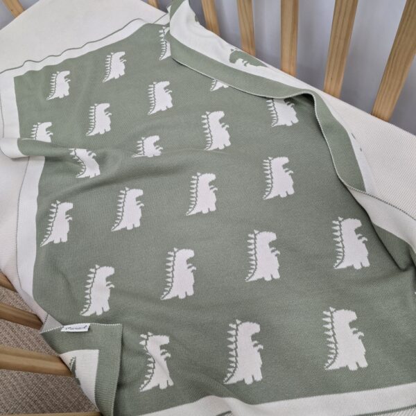 The Dinosaur Blanket The Dinosaur Blanket